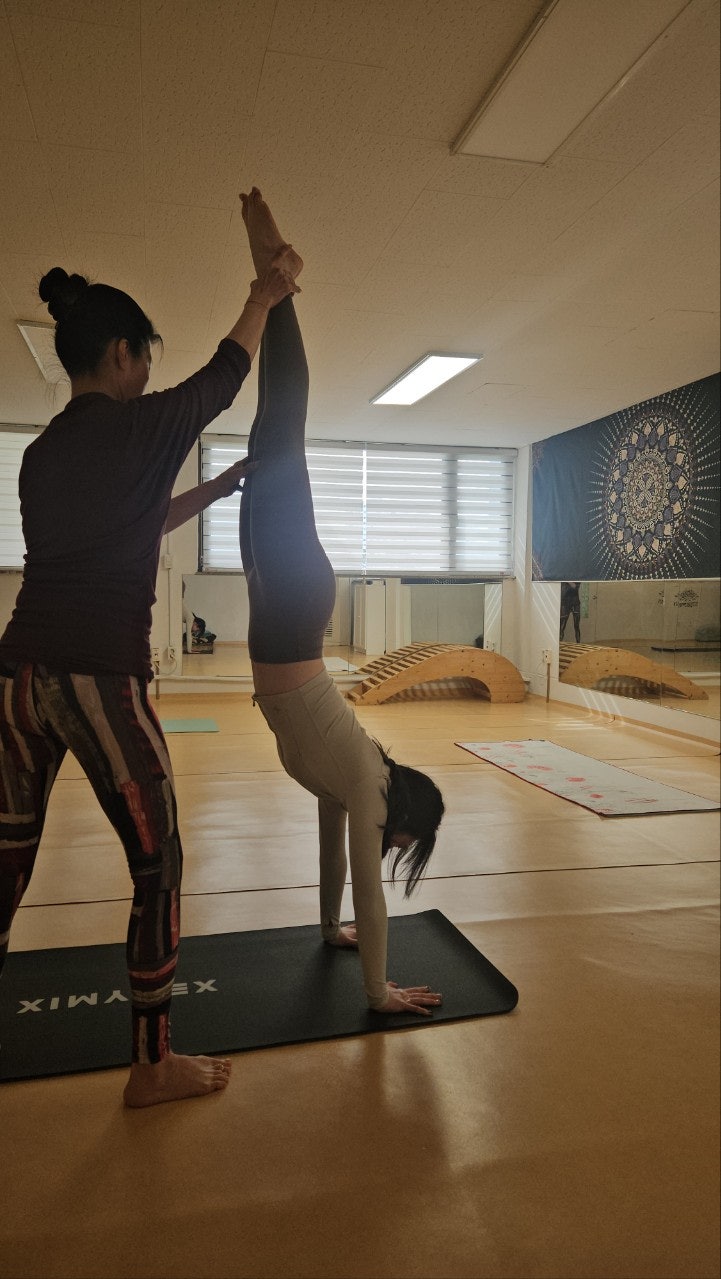 ����ڰ� �ø� �̹���