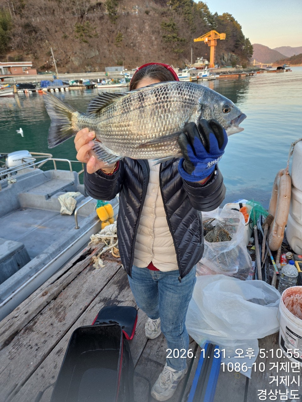 사용자가 올린 이미지