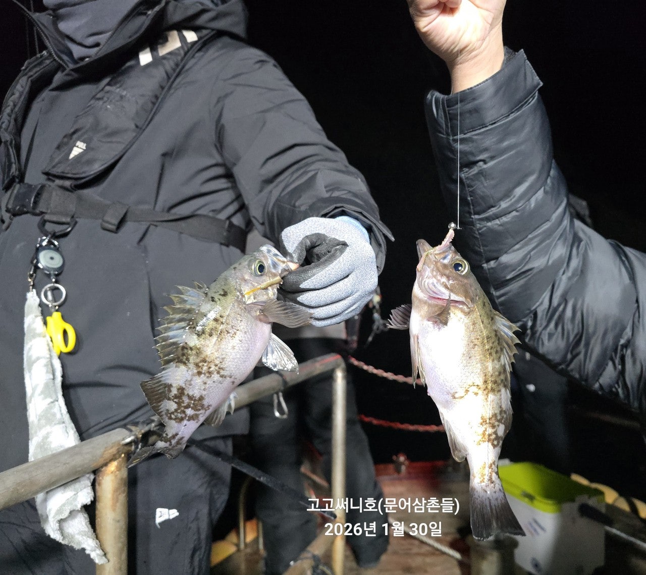 사용자가 올린 이미지