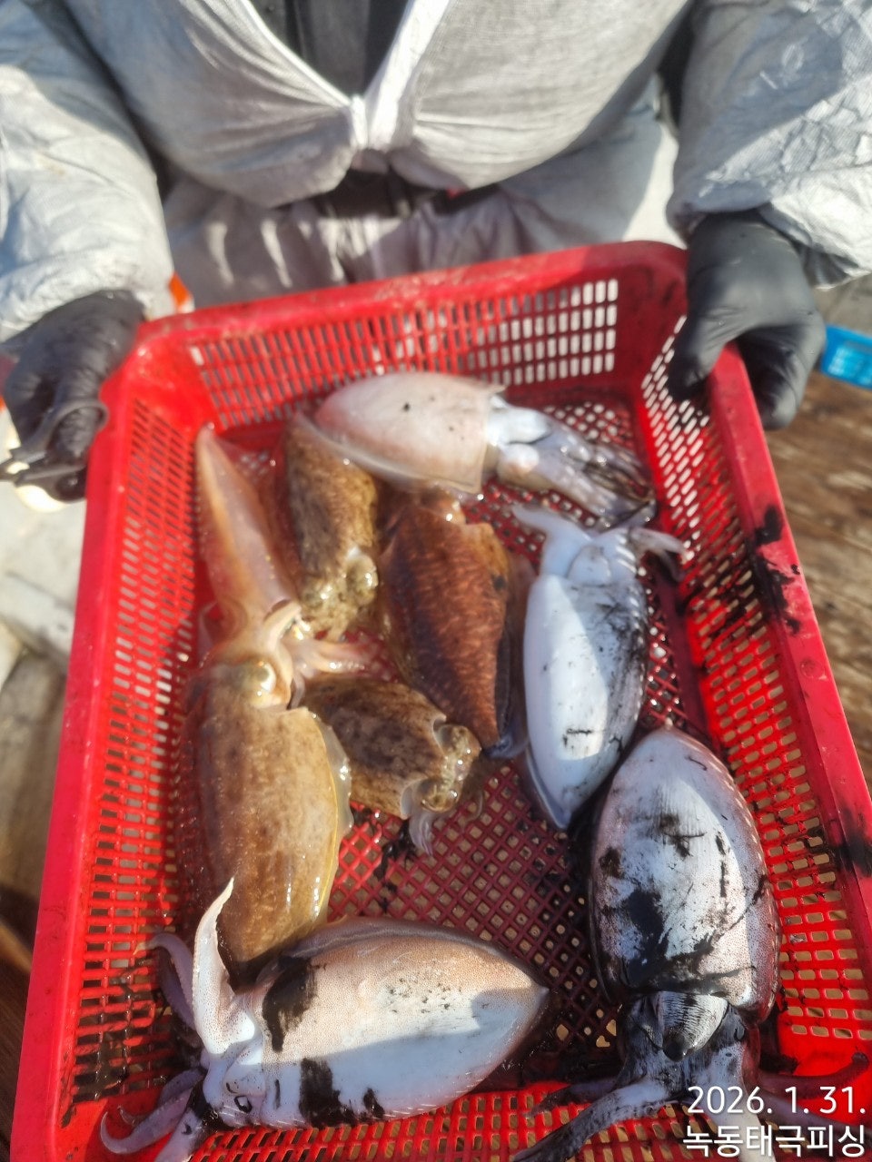 사용자가 올린 이미지