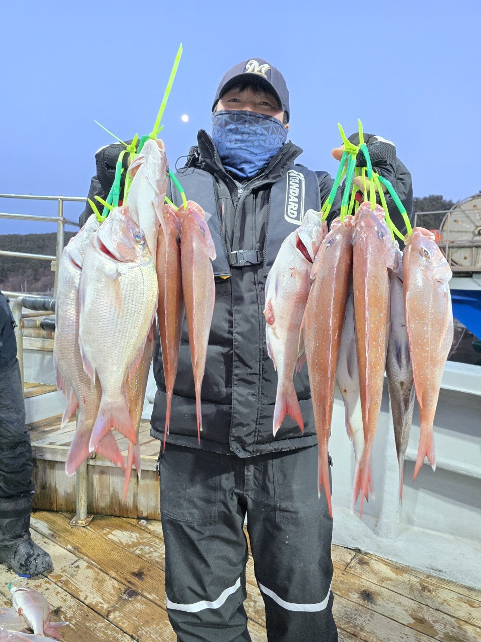 사용자가 올린 이미지