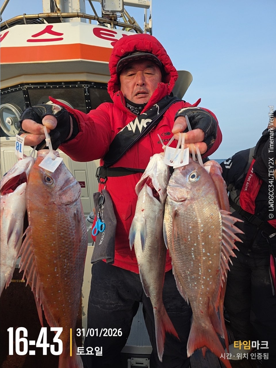 사용자가 올린 이미지