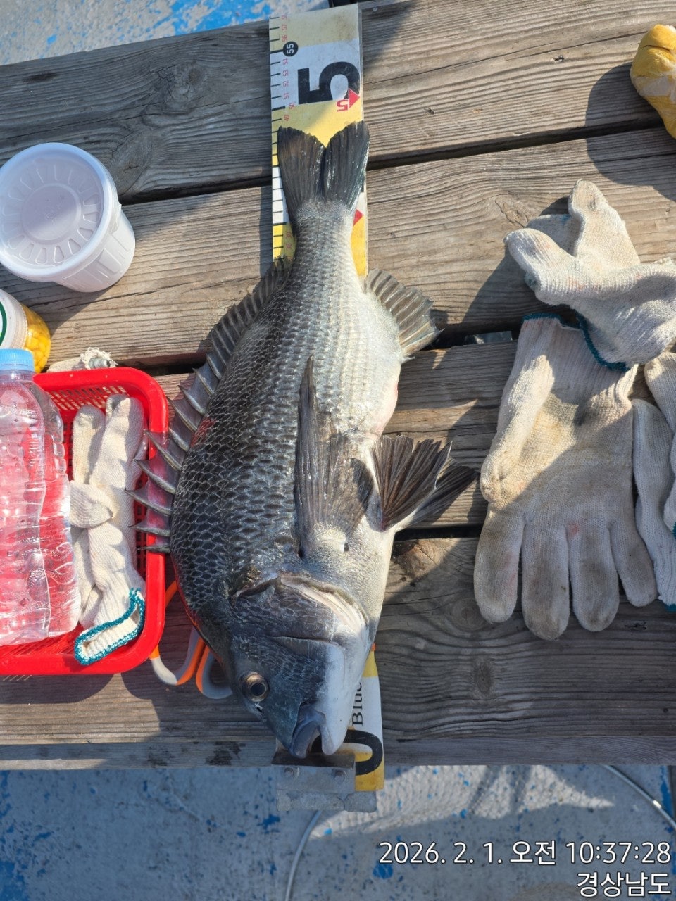 사용자가 올린 이미지