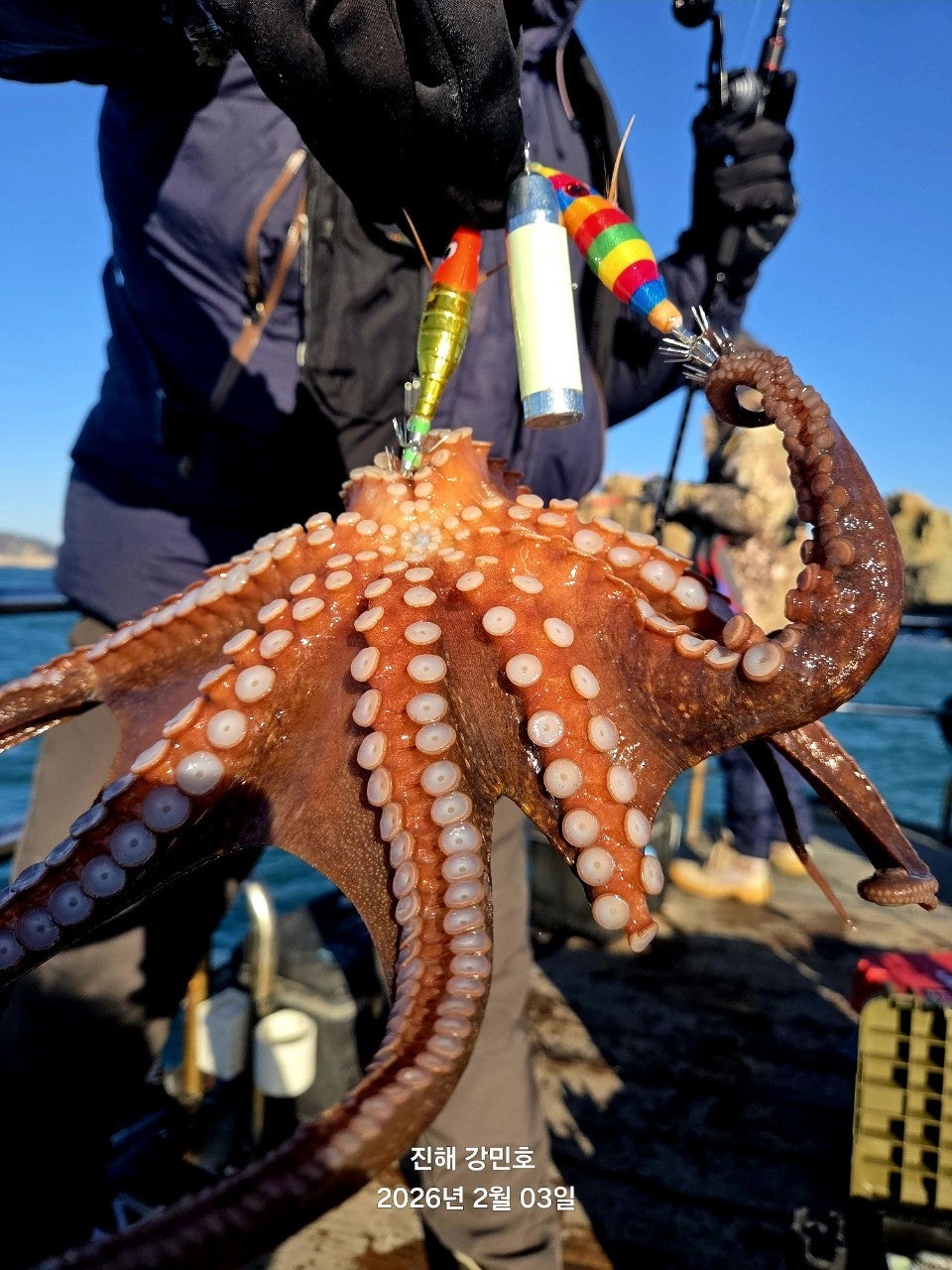 사용자가 올린 이미지