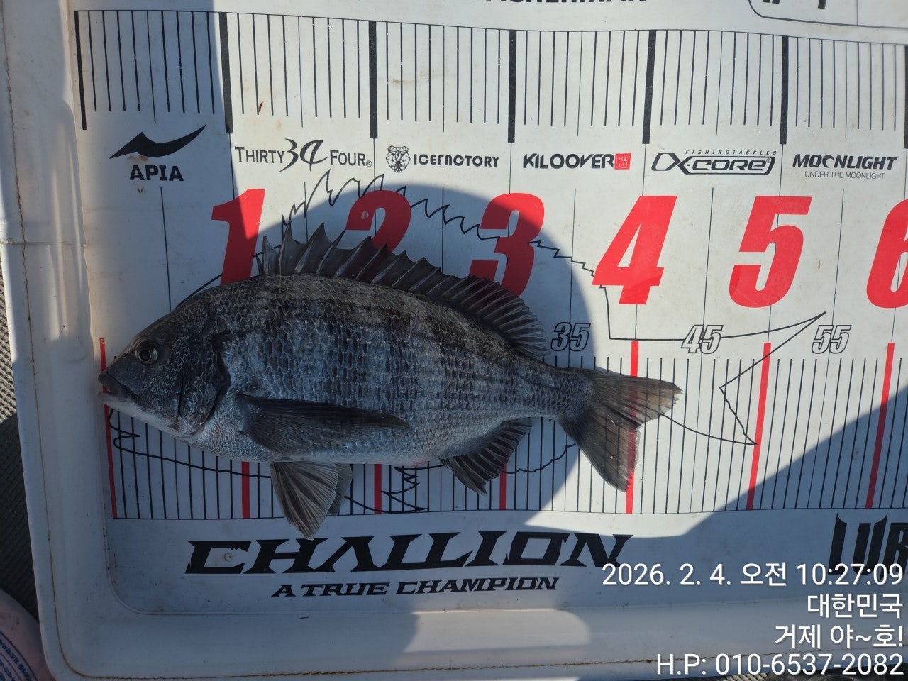 사용자가 올린 이미지