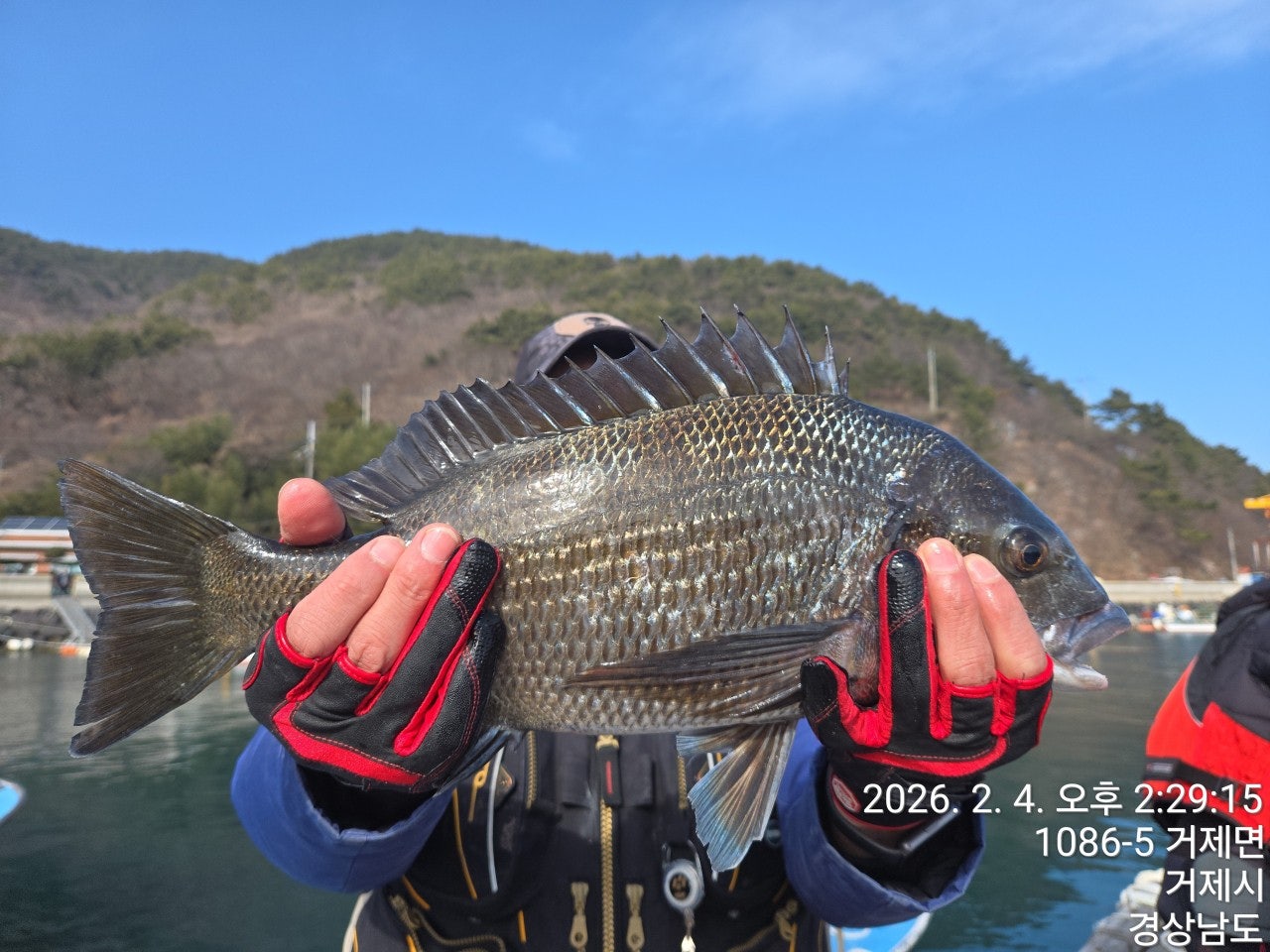 사용자가 올린 이미지