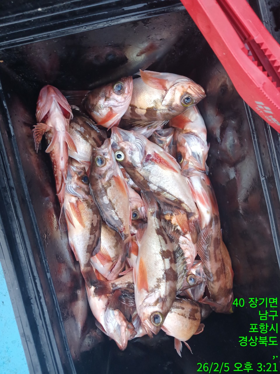 j_2ahUd018svc13mohyuzt5xts_9bt2m0.jpg