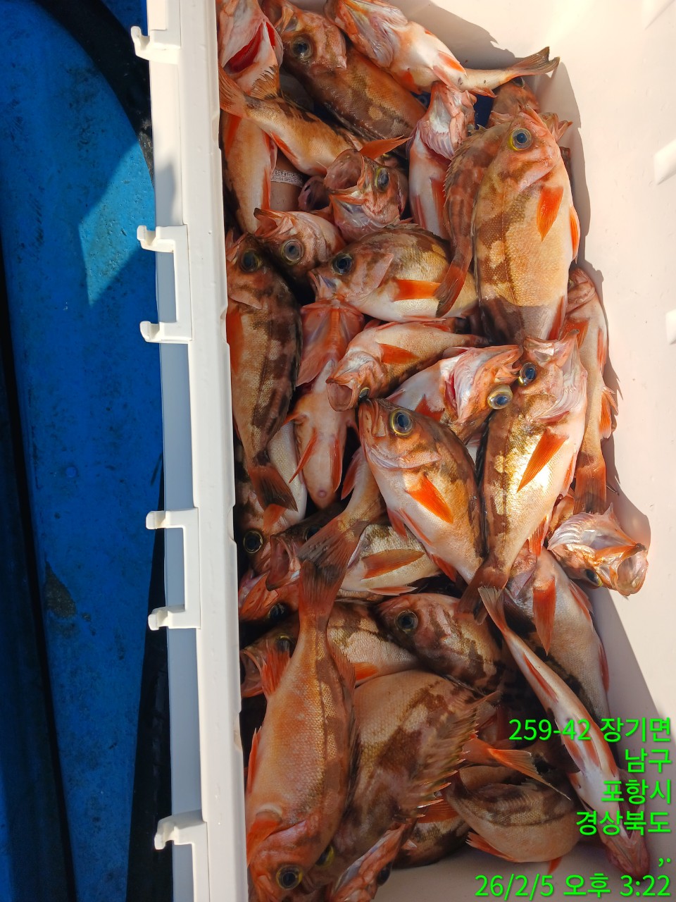 i_dahUd018svclzdwgtazq96_9bt2m0.jpg