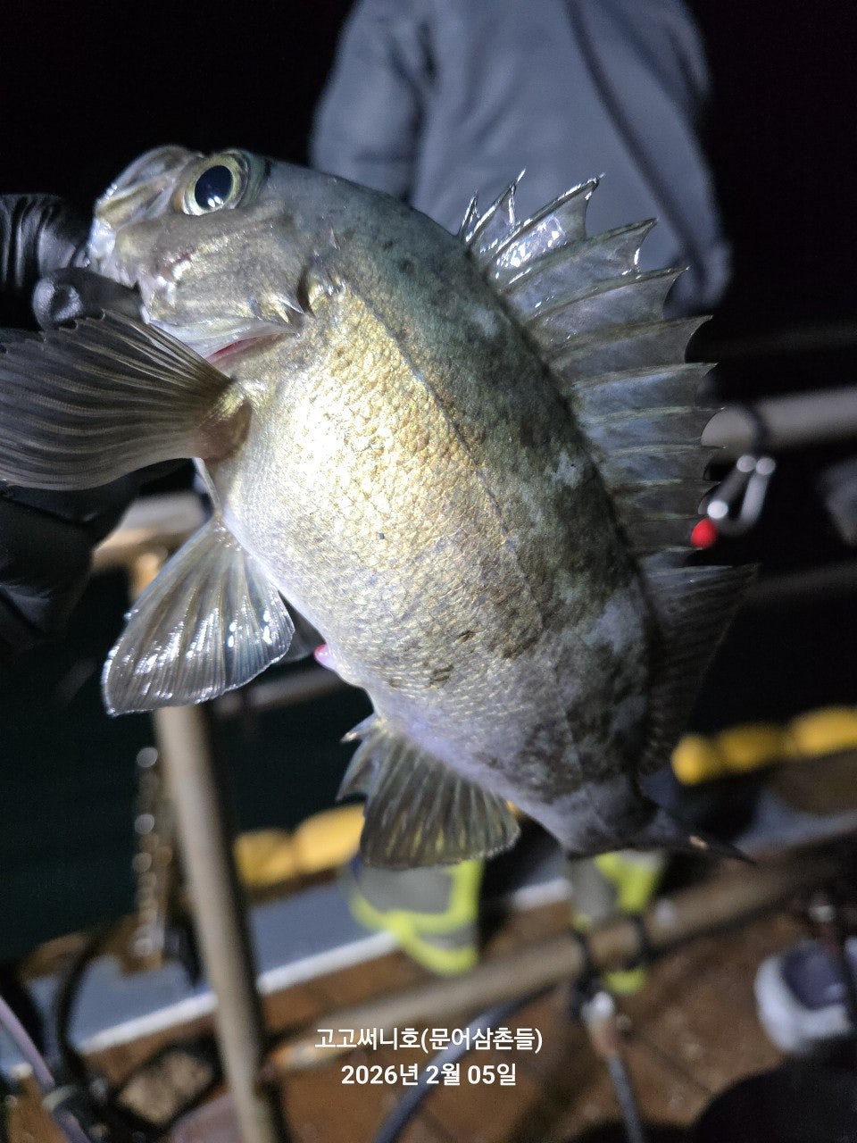 사용자가 올린 이미지