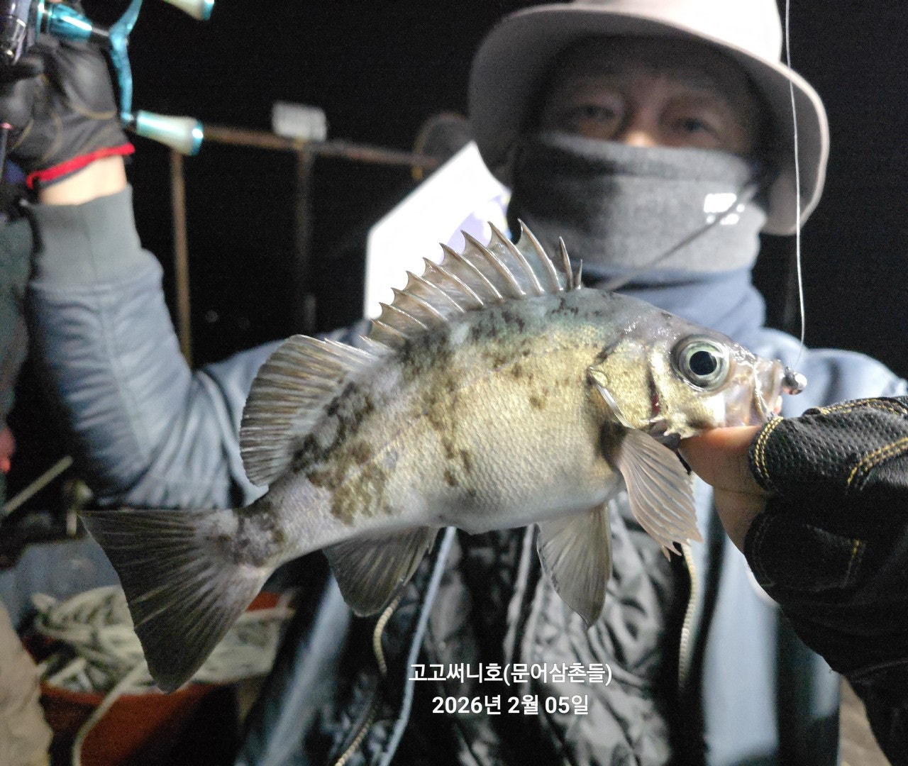 사용자가 올린 이미지