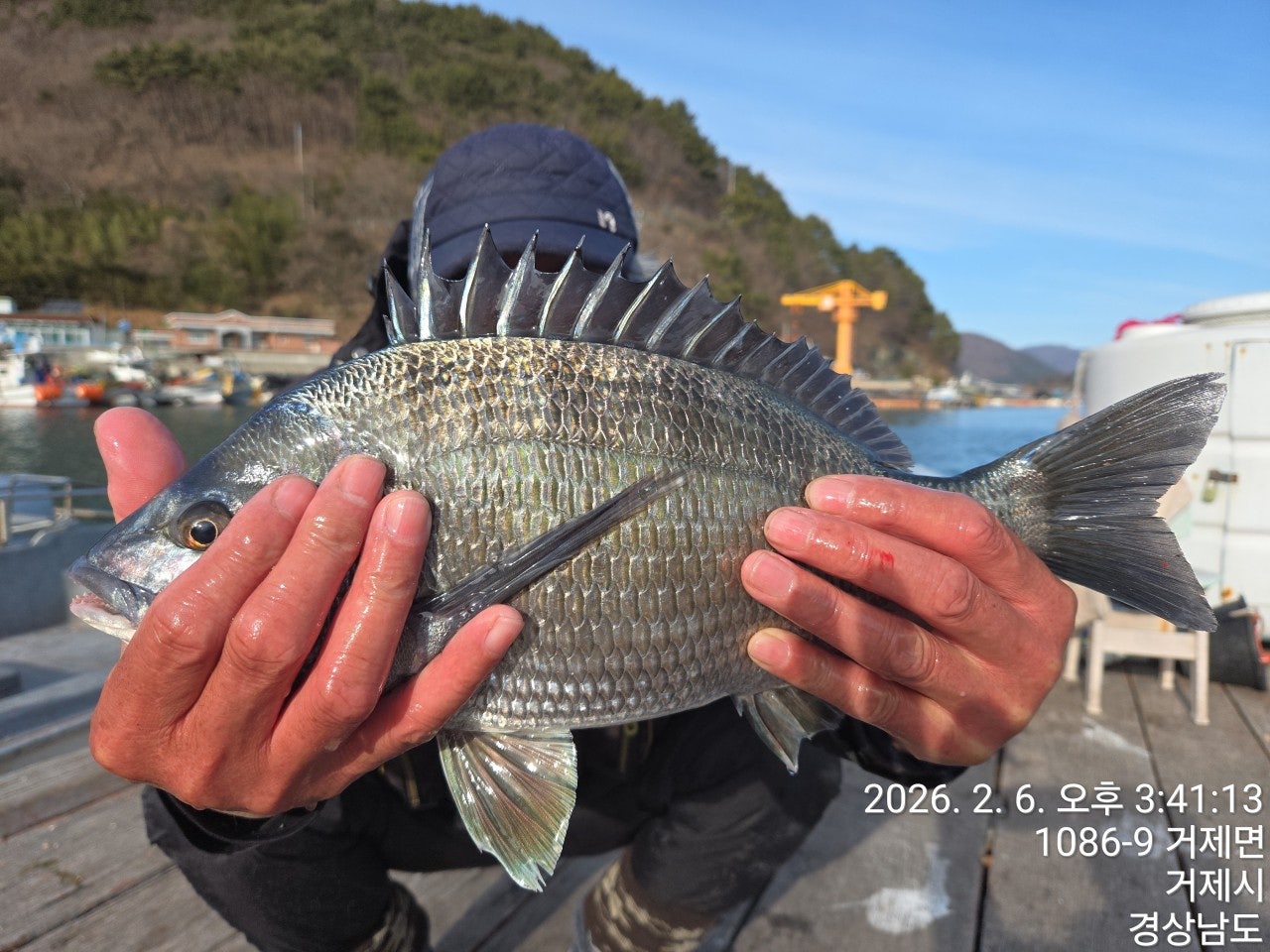 사용자가 올린 이미지