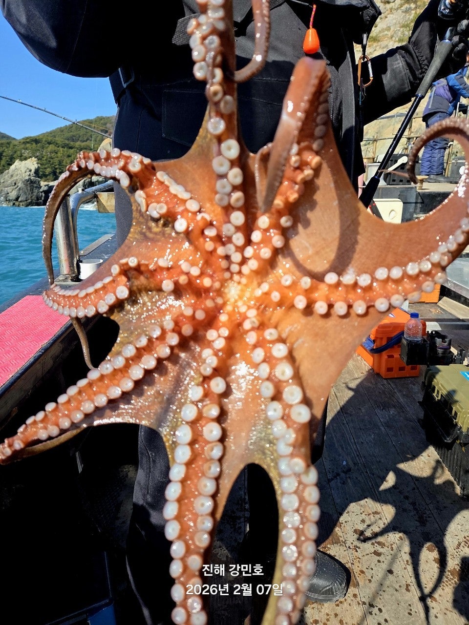 사용자가 올린 이미지