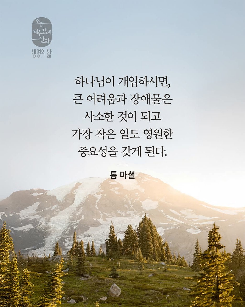 ����ڰ� �ø� �̹���