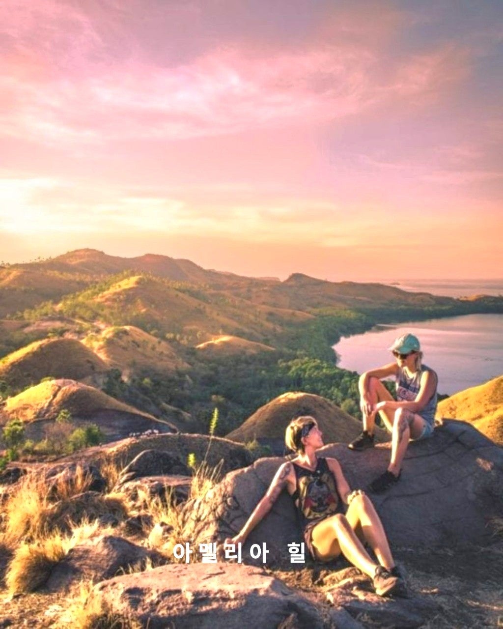 사용자가 올린 이미지