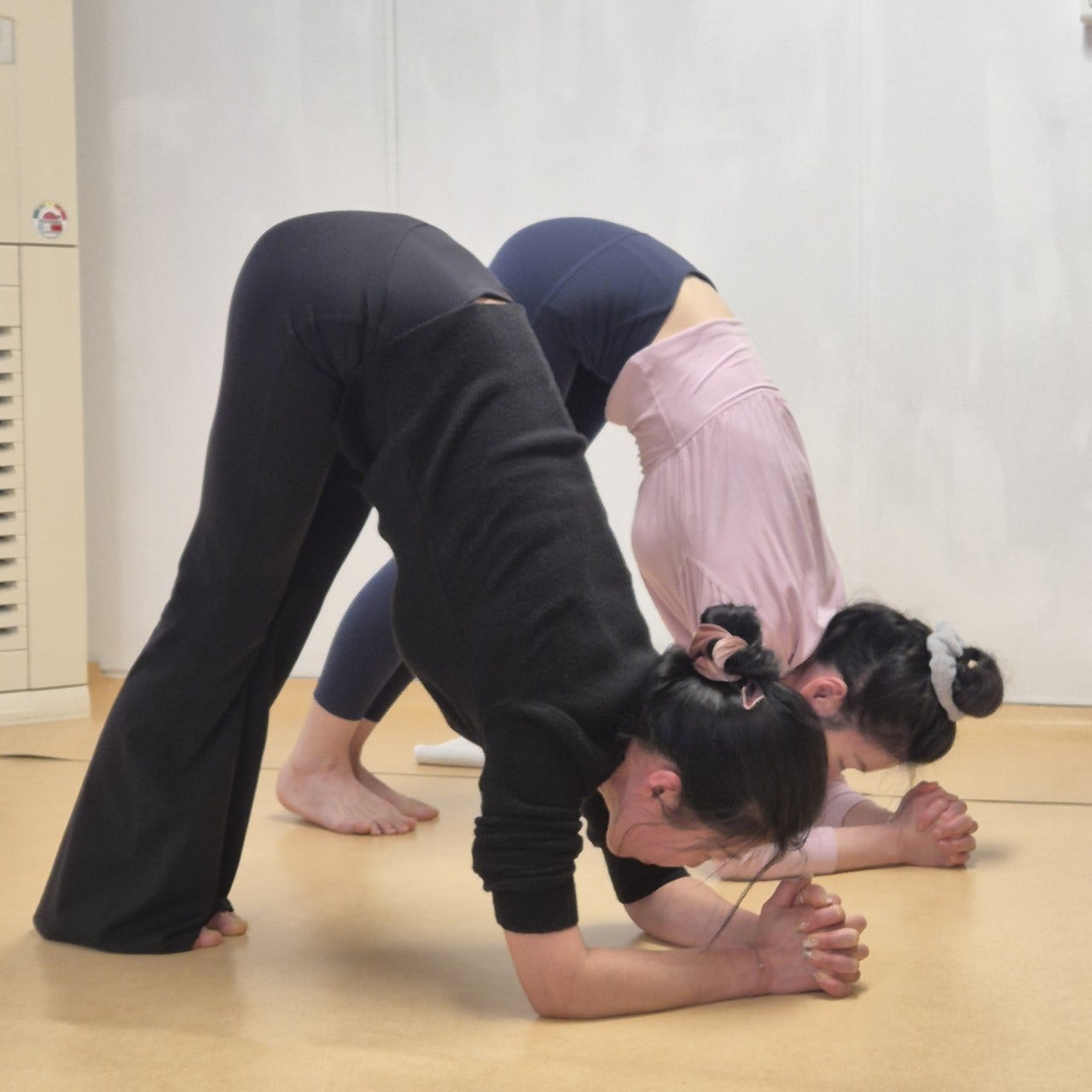 ����ڰ� �ø� �̹���