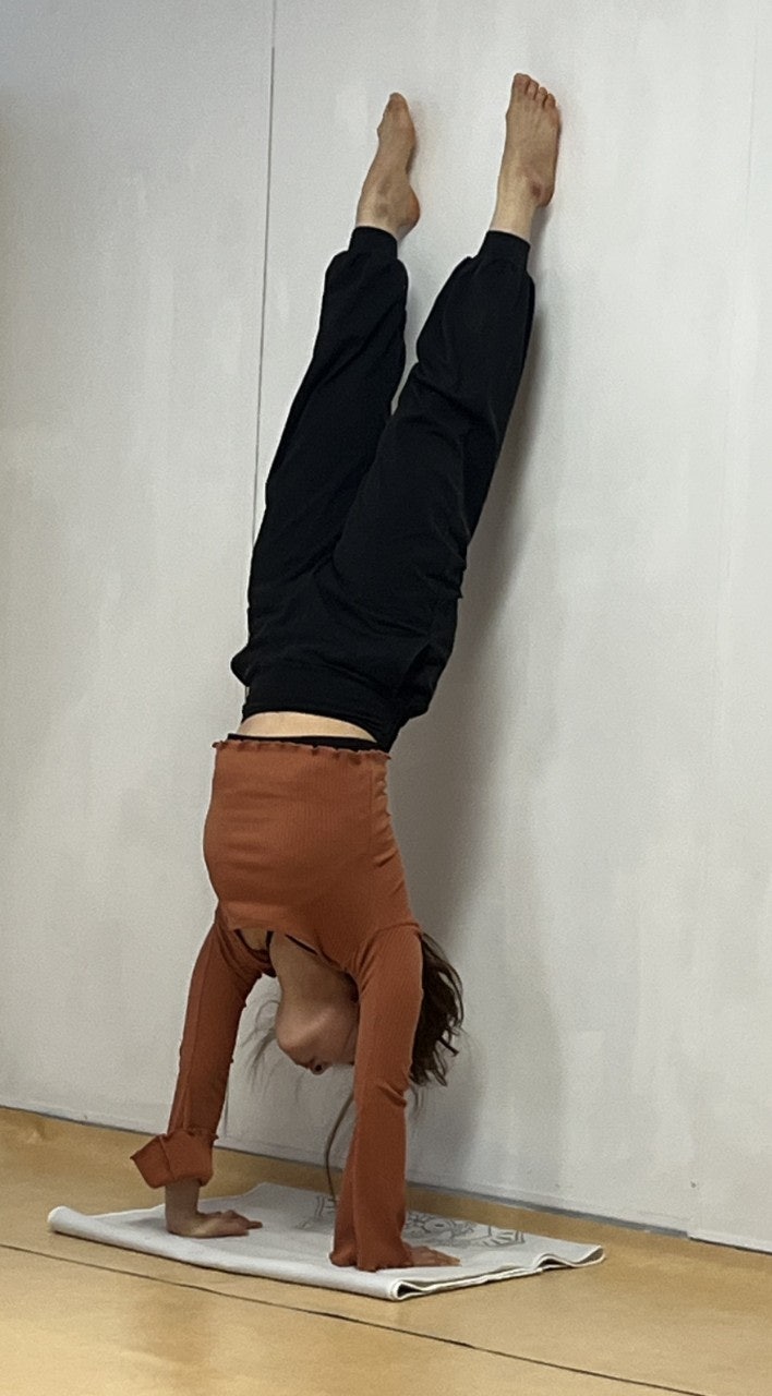 ����ڰ� �ø� �̹���