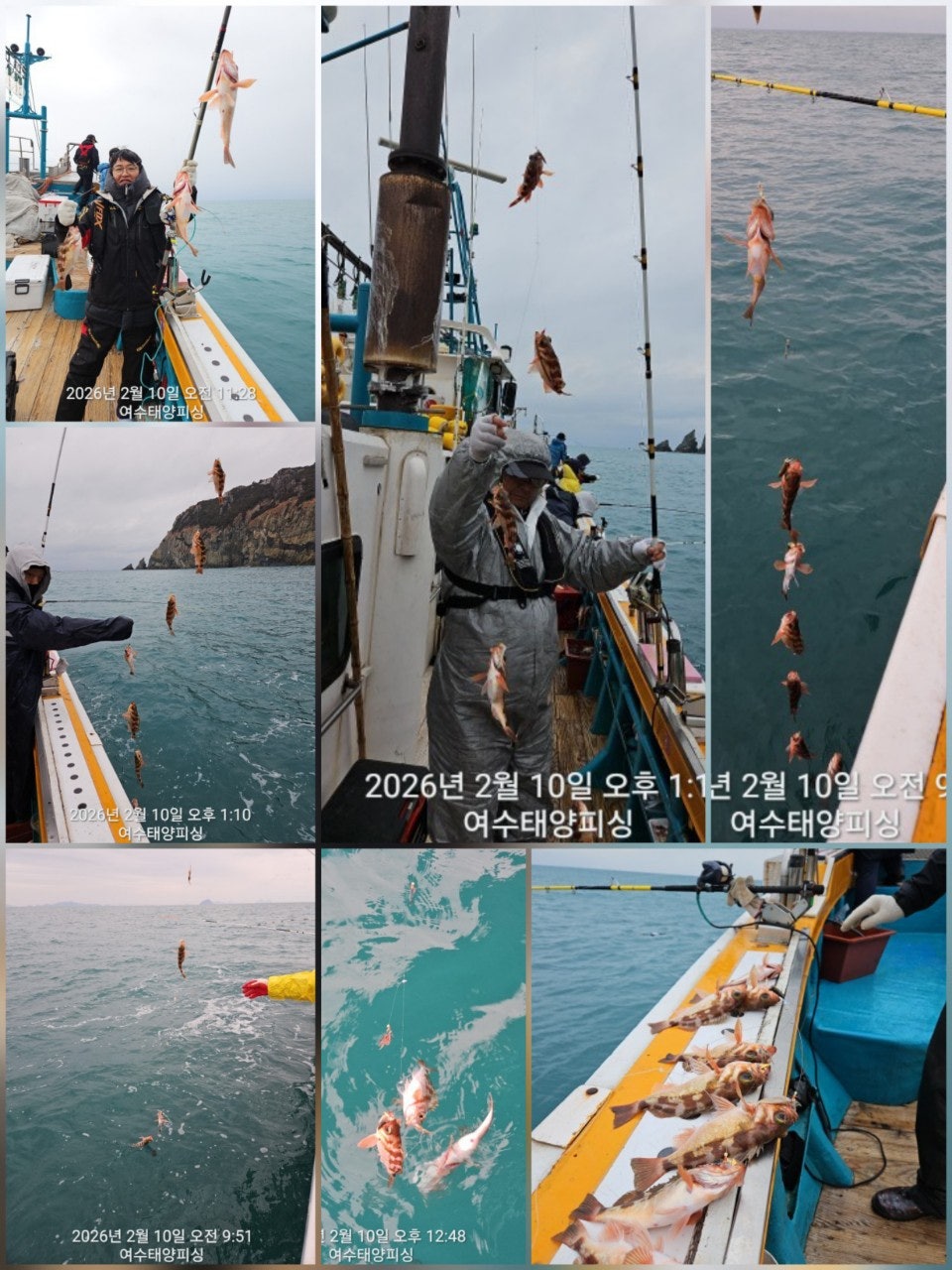 사용자가 올린 이미지