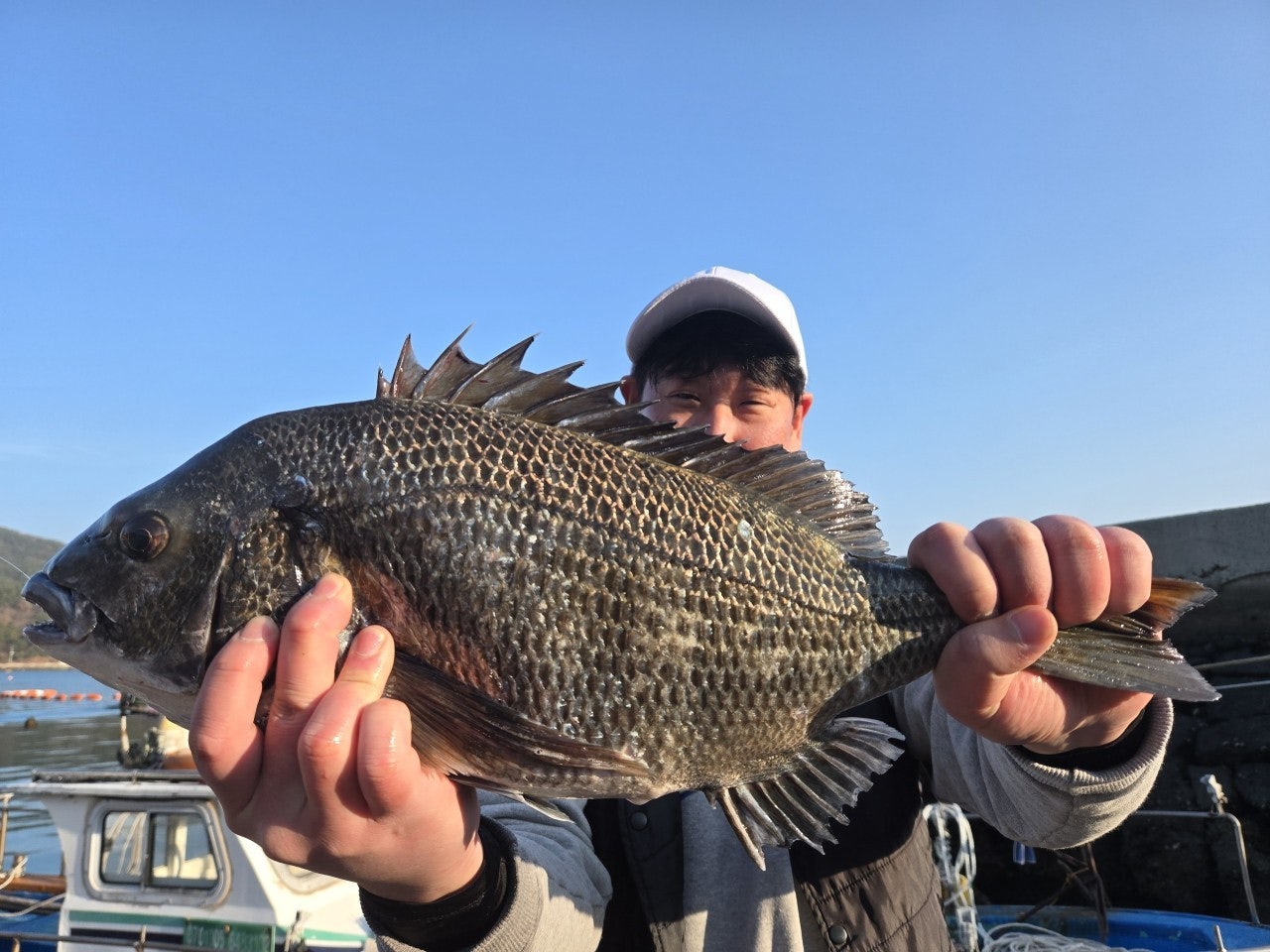 사용자가 올린 이미지