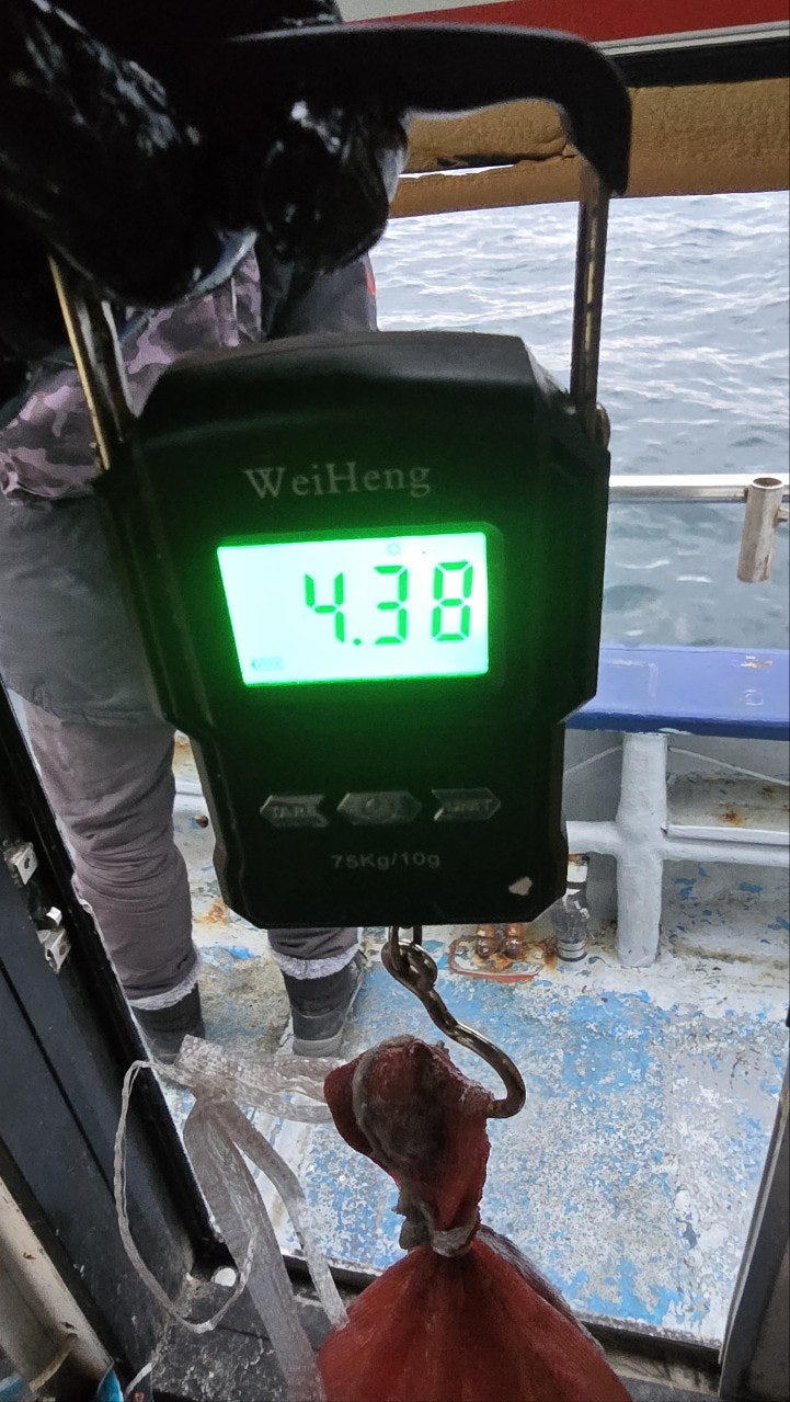 사용자가 올린 이미지