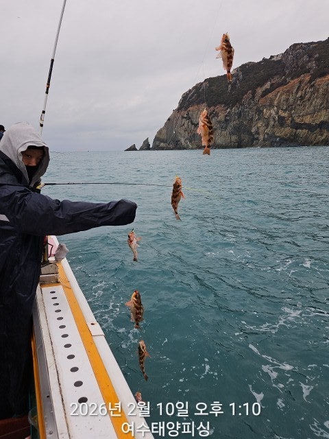 사용자가 올린 이미지