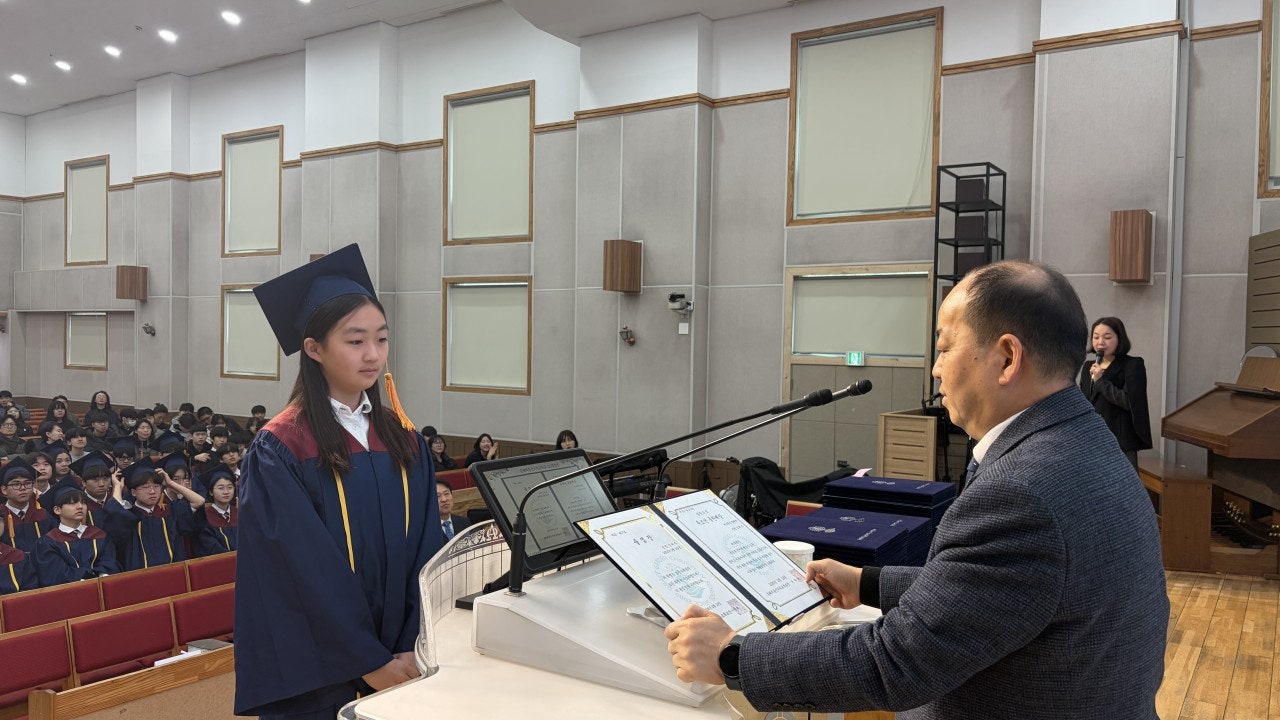 ����ڰ� �ø� �̹���