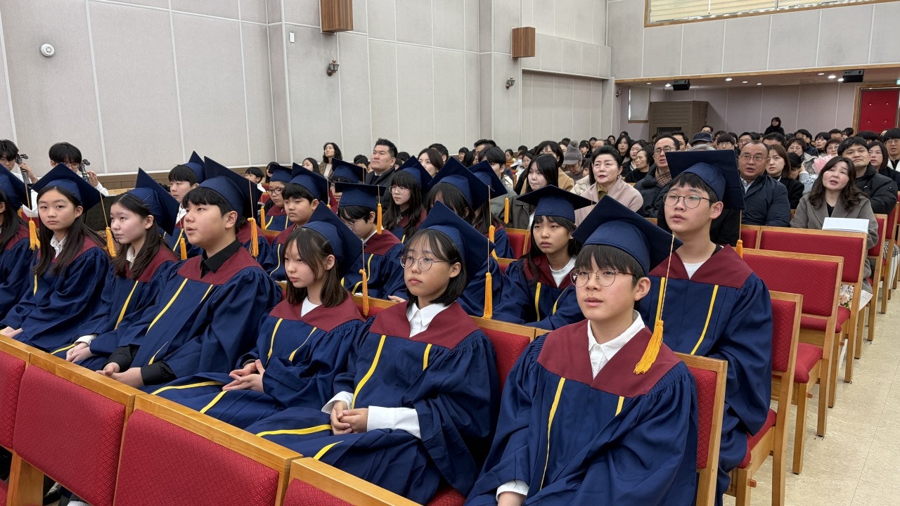 ����ڰ� �ø� �̹���