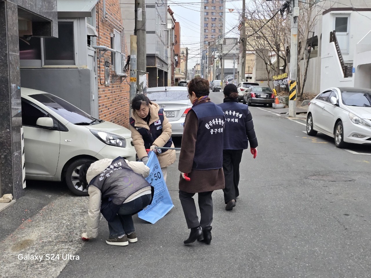 사용자가 올린 이미지