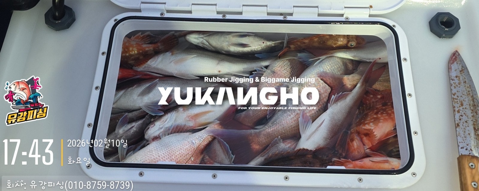 사용자가 올린 이미지