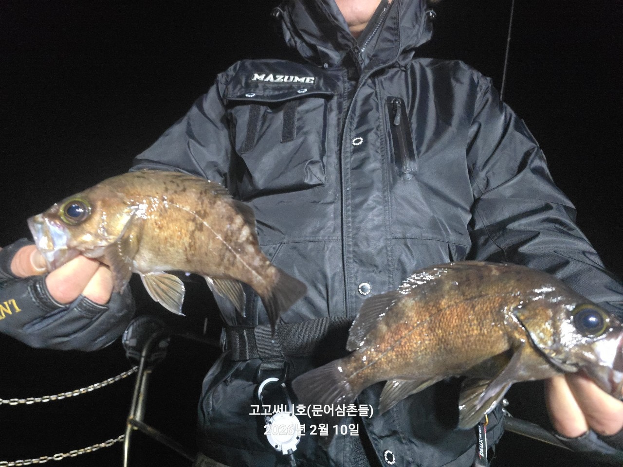 사용자가 올린 이미지