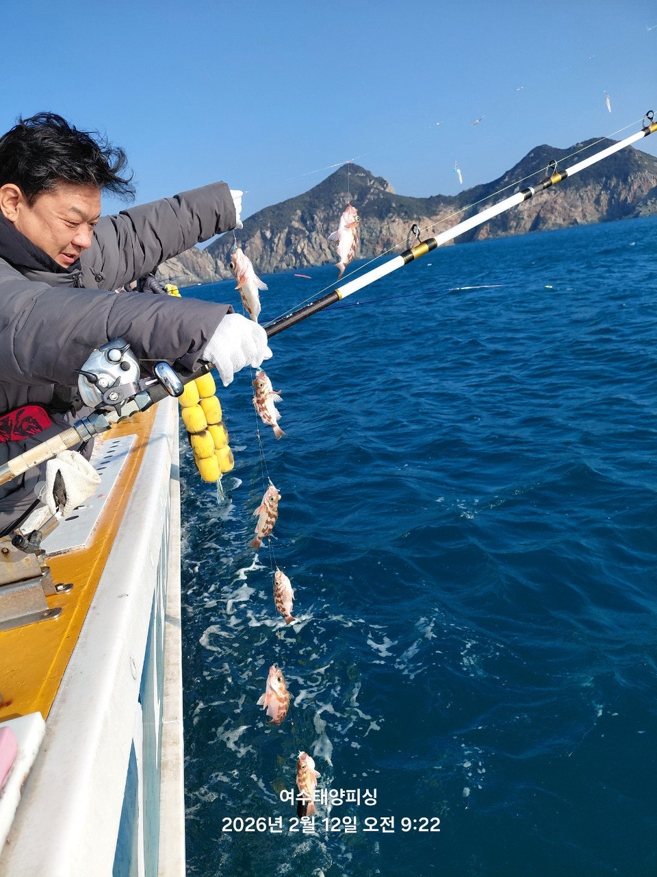 사용자가 올린 이미지