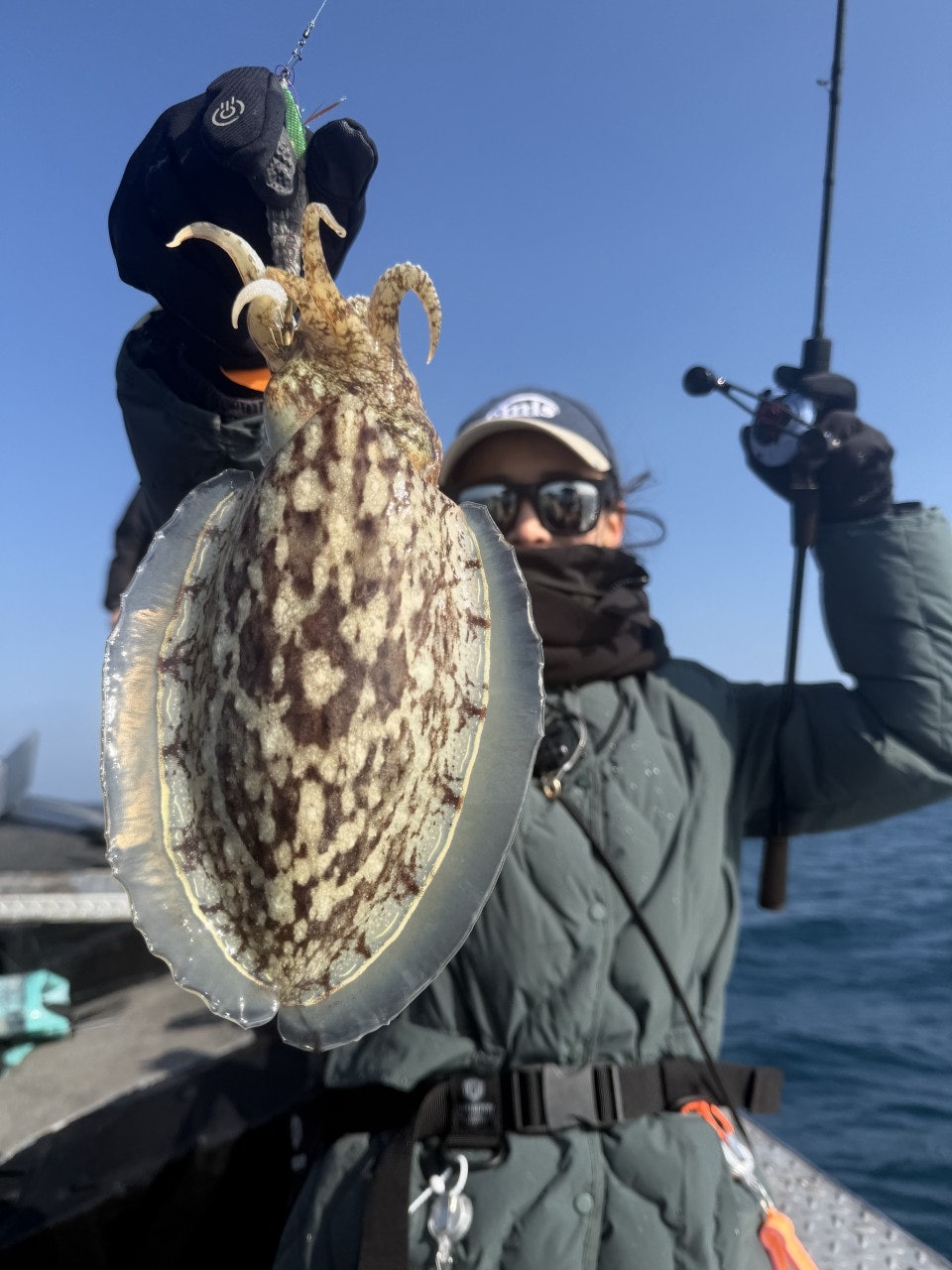 사용자가 올린 이미지