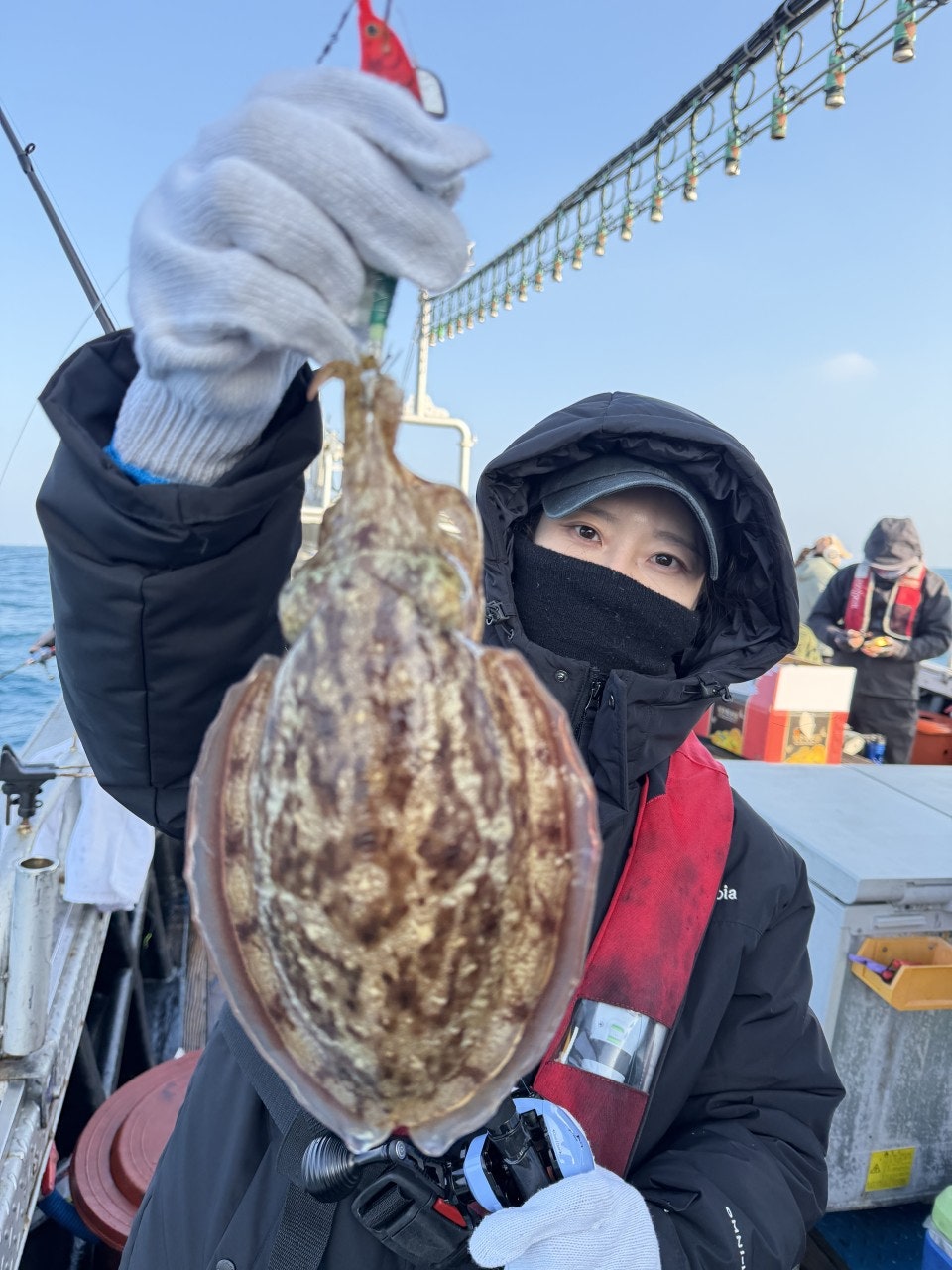 사용자가 올린 이미지