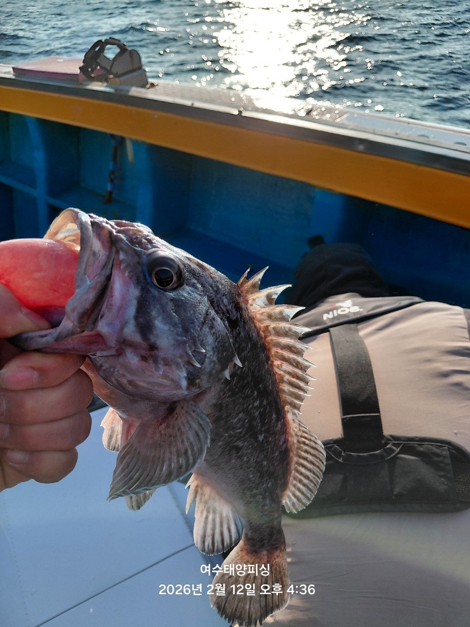 사용자가 올린 이미지