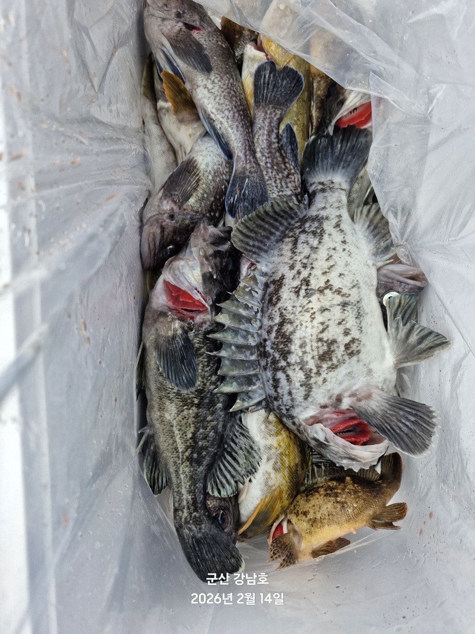 사용자가 올린 이미지