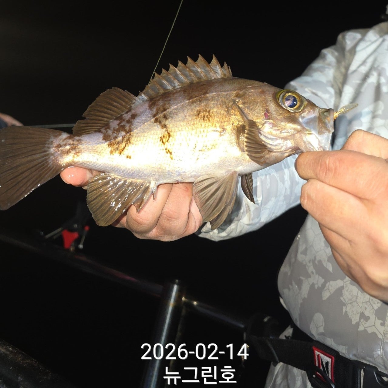 사용자가 올린 이미지