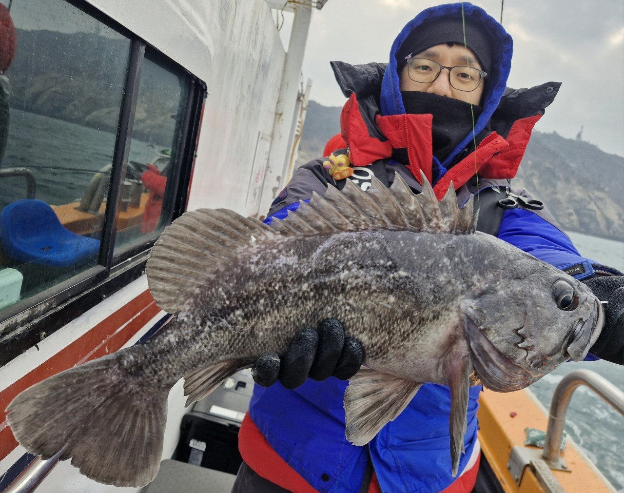 사용자가 올린 이미지