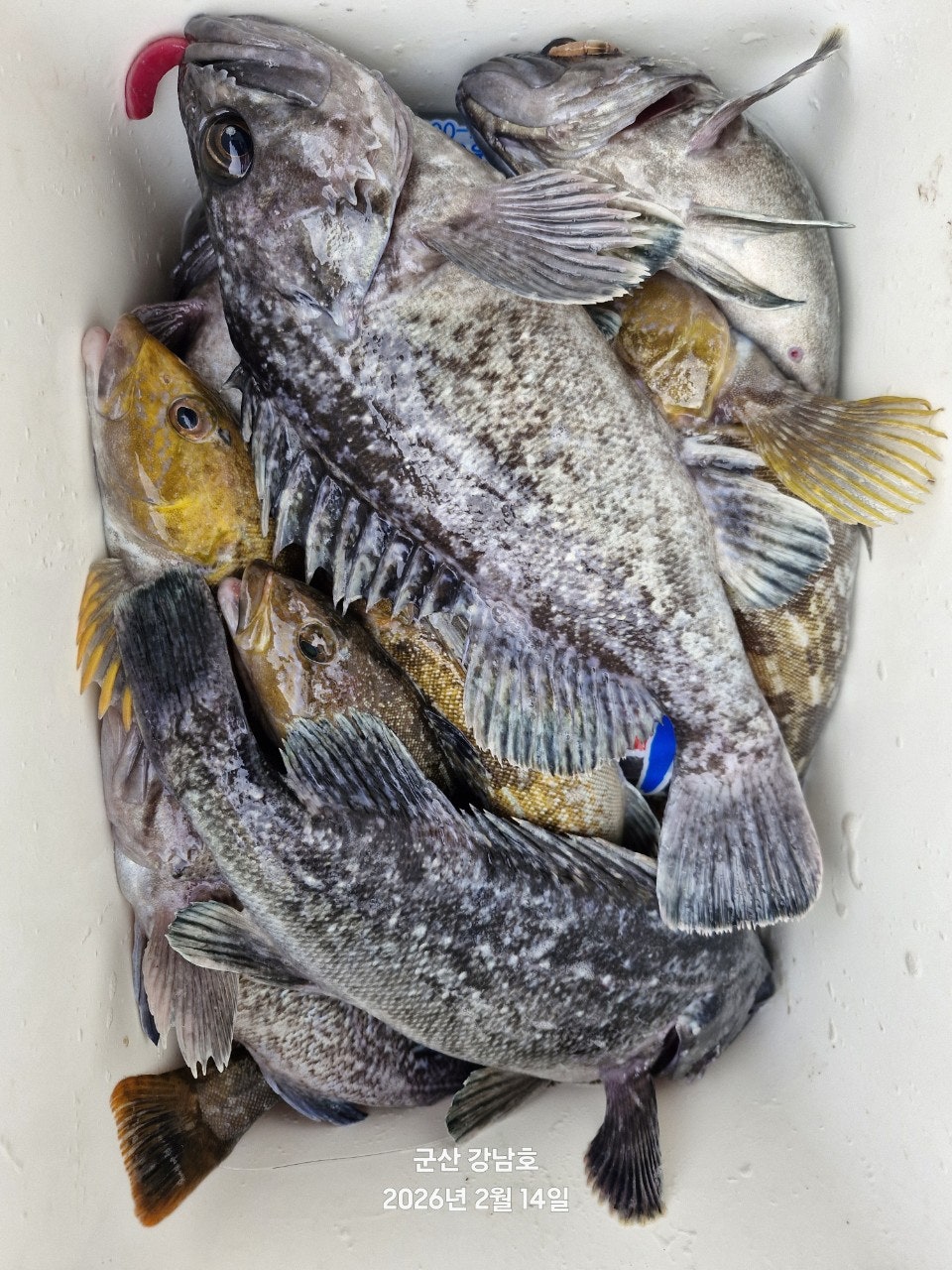 사용자가 올린 이미지