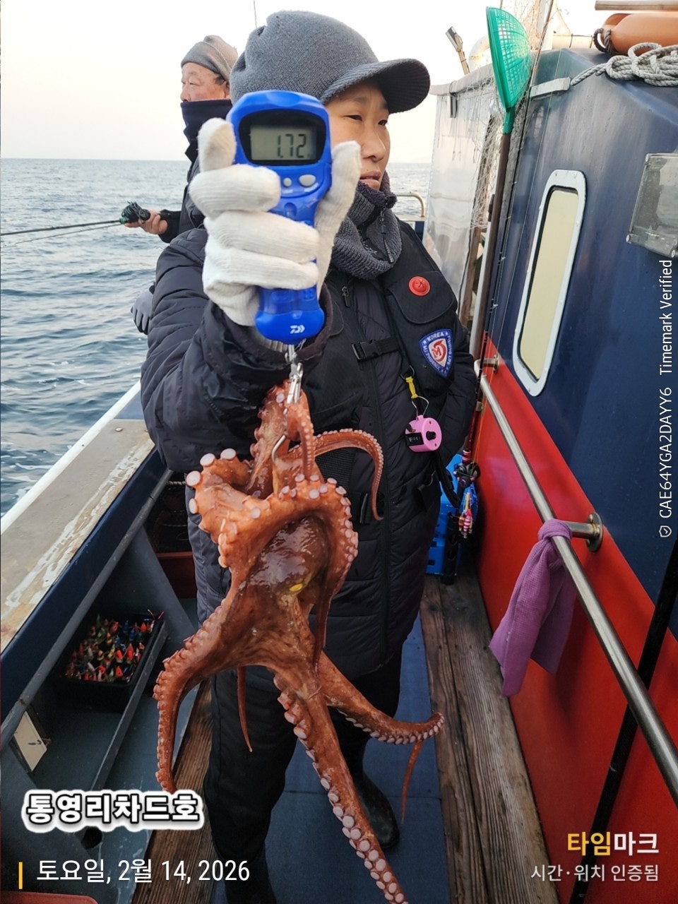 사용자가 올린 이미지