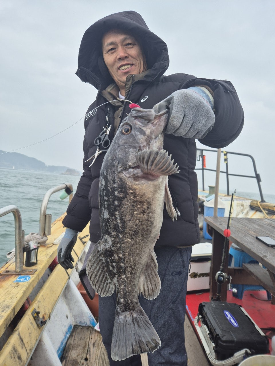 사용자가 올린 이미지