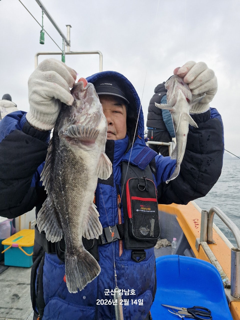 사용자가 올린 이미지