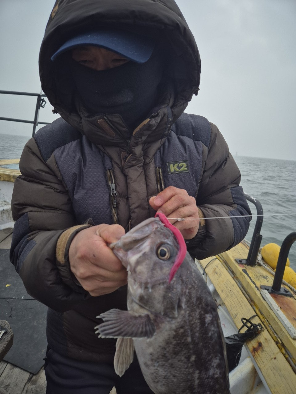 사용자가 올린 이미지