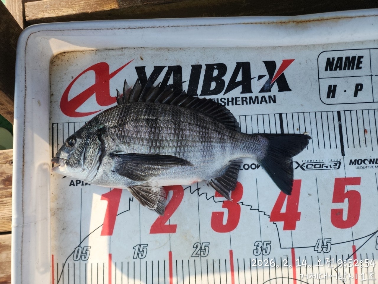 ����ڰ� �ø� �̹���