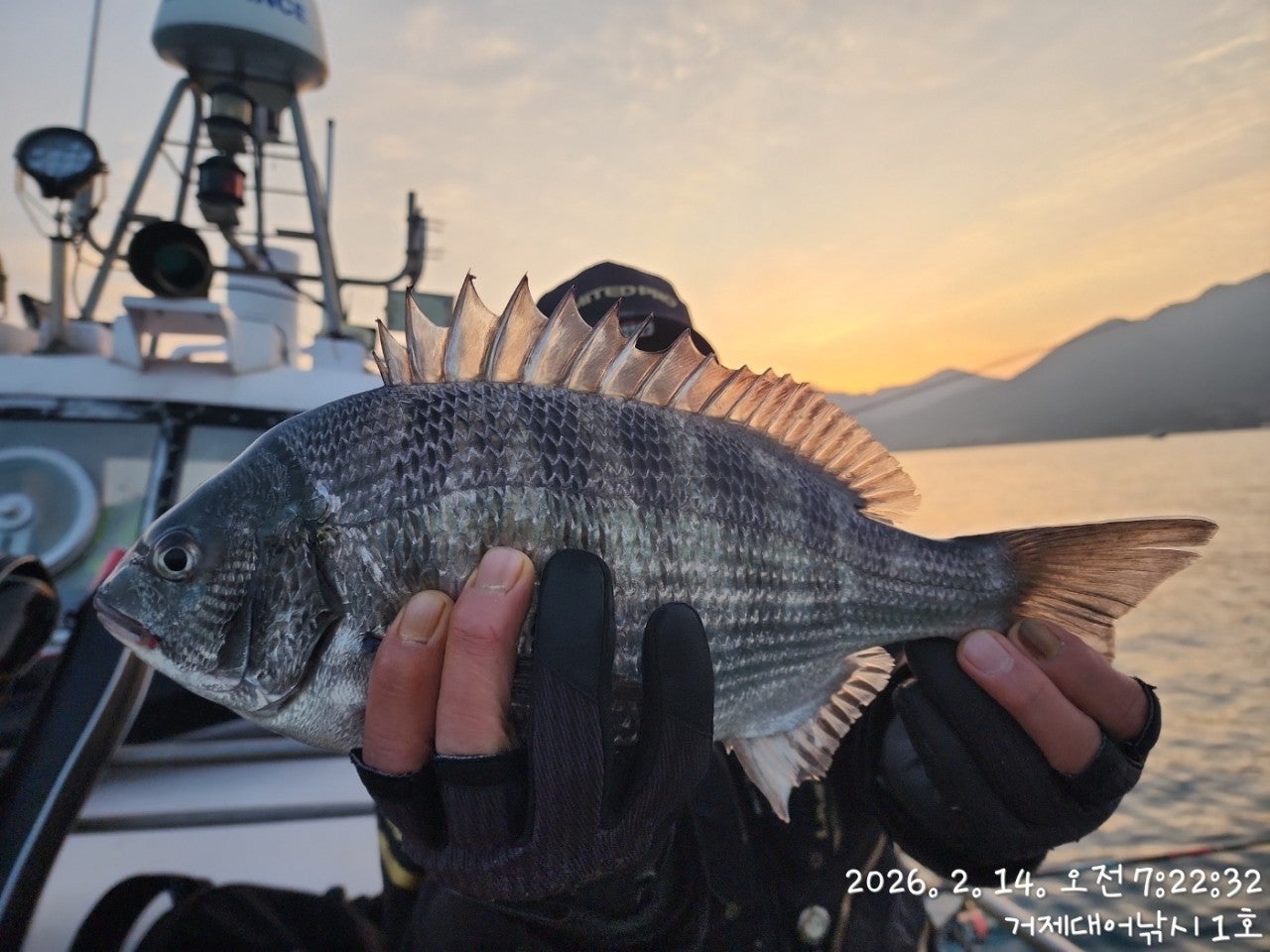 ����ڰ� �ø� �̹���