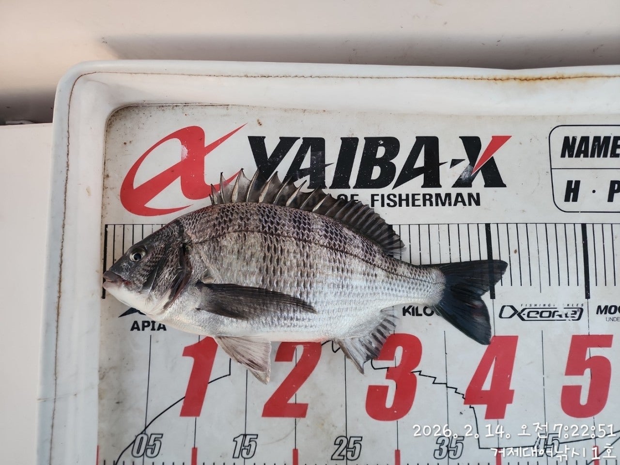 ����ڰ� �ø� �̹���