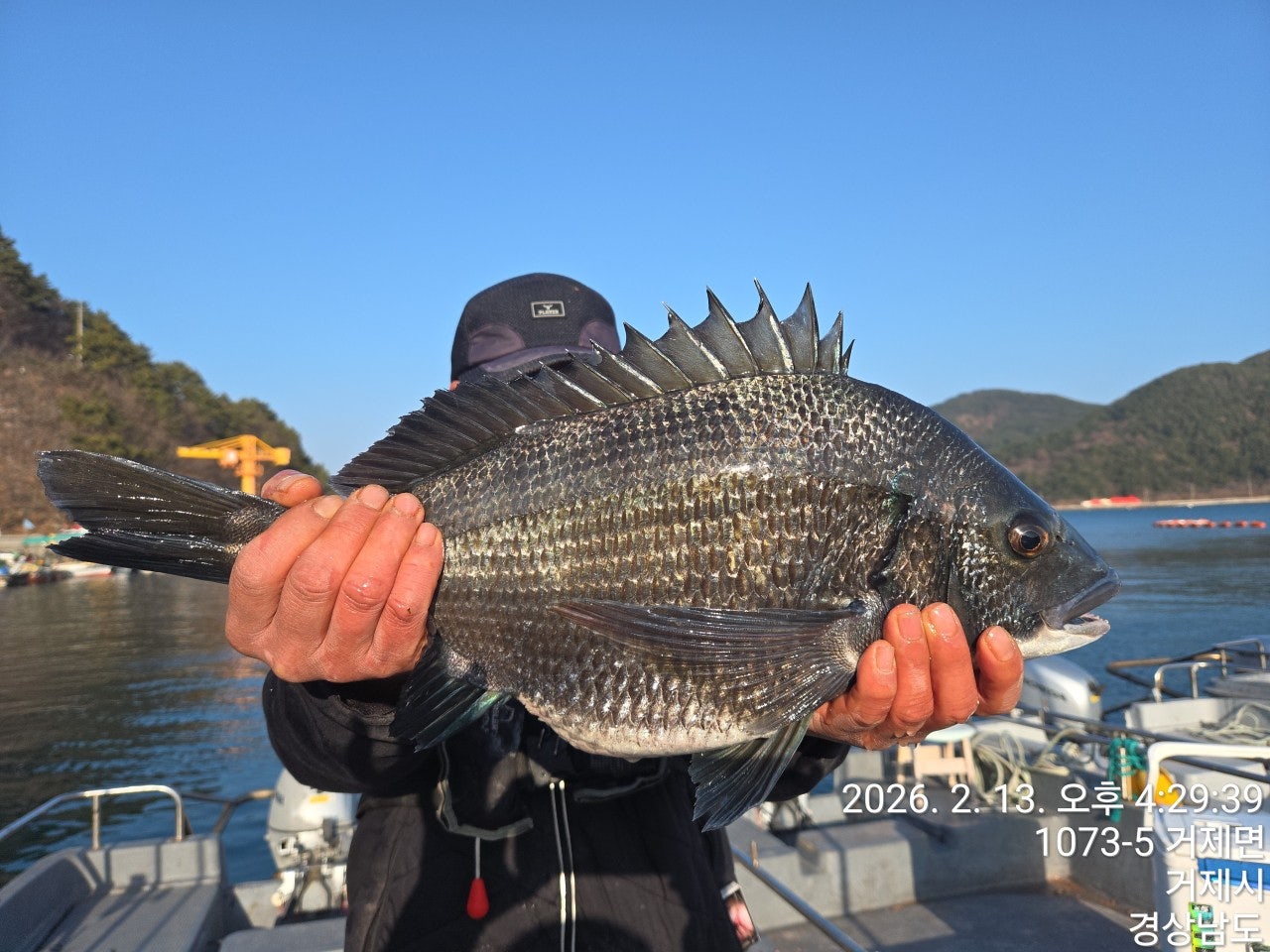 사용자가 올린 이미지