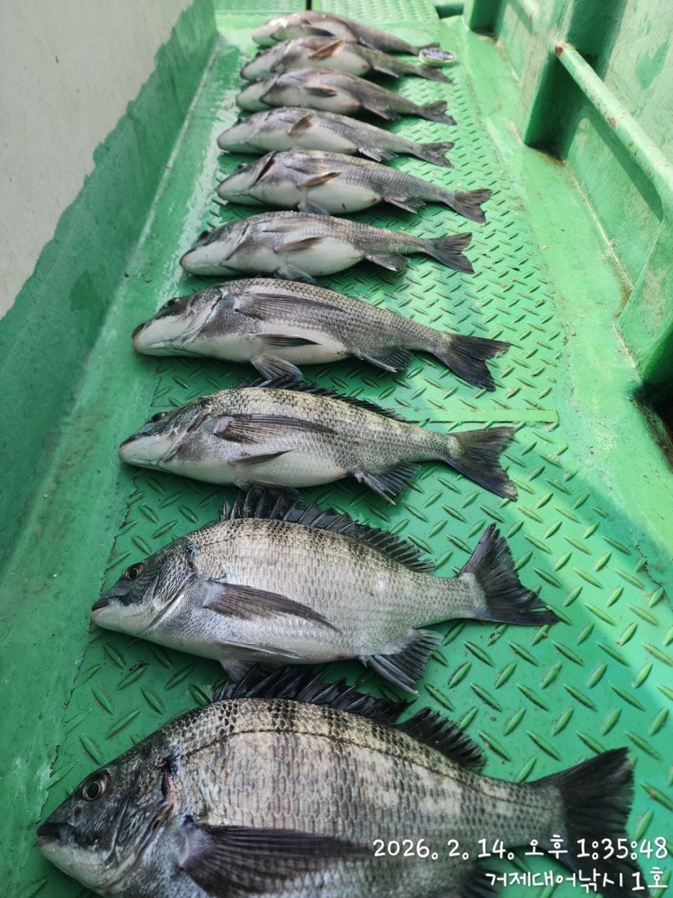 ����ڰ� �ø� �̹���