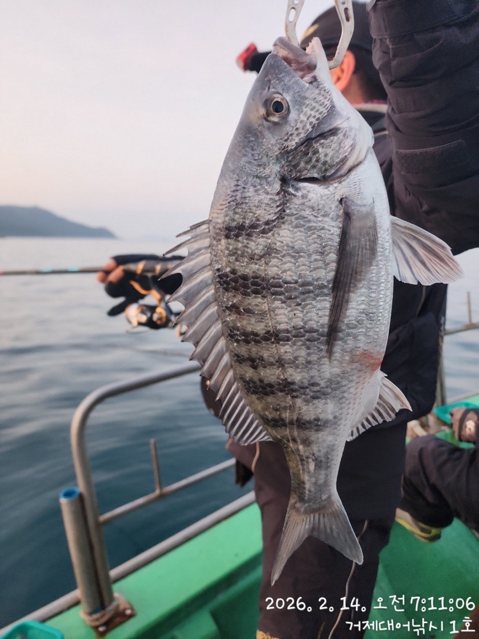 ����ڰ� �ø� �̹���