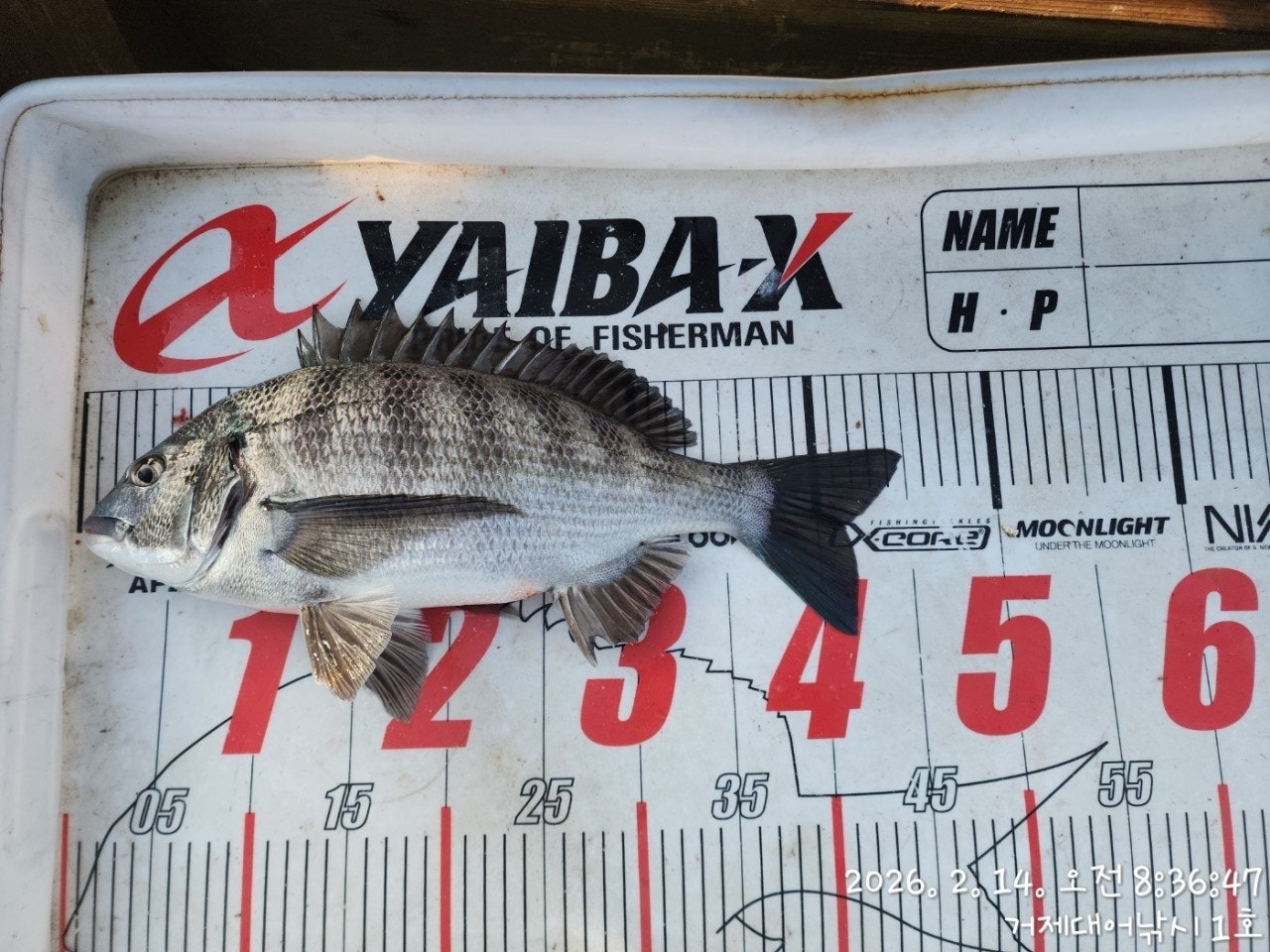 ����ڰ� �ø� �̹���