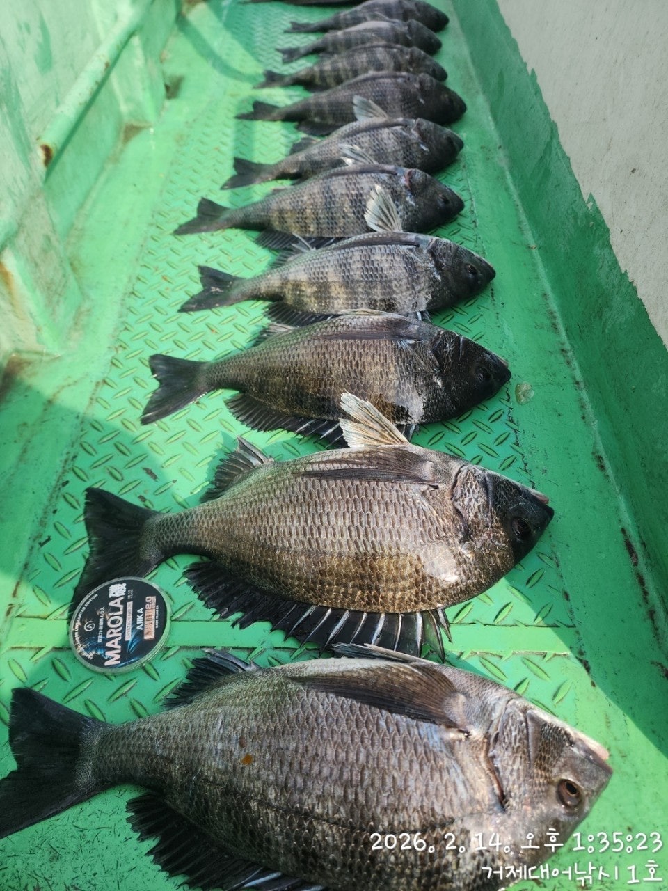 ����ڰ� �ø� �̹���