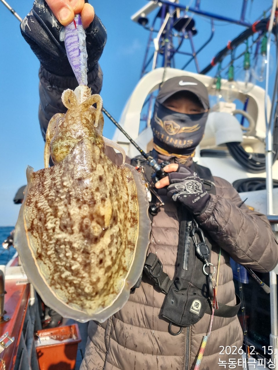 사용자가 올린 이미지